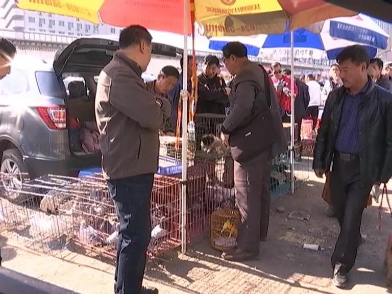 聯合執法人員正在進行突擊檢查