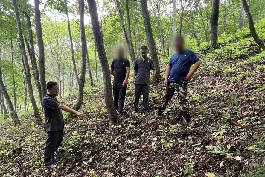 （本溪中院）桓仁縣法院華來(lái)法庭法官深入涉案林下參園進(jìn)行現(xiàn)場(chǎng)勘查