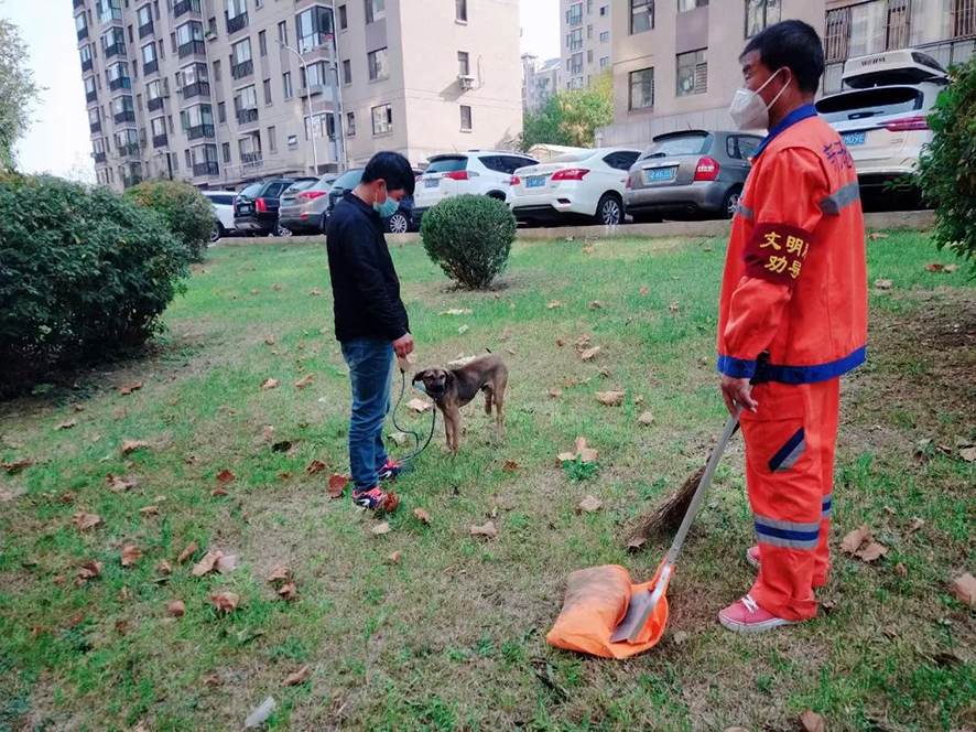 頭題配圖 勸導規范遛狗行為