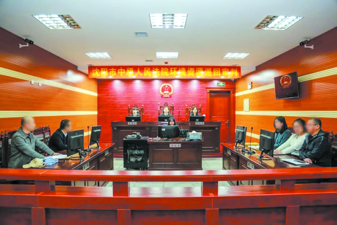 沈陽中院環資巡回審判配圖2