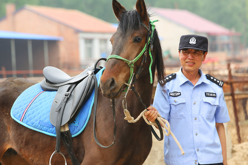 民警每天都悉心照料著愛(ài)馬。