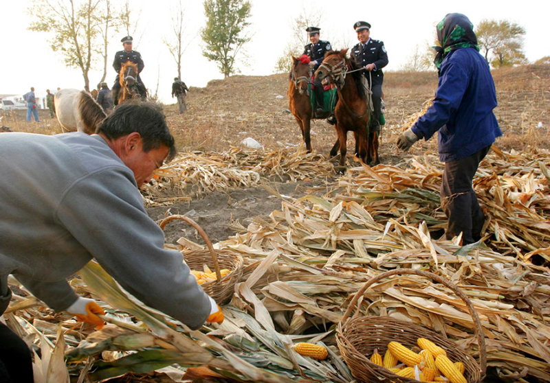 2009年10月，“馬背110”民警在田間巡邏。