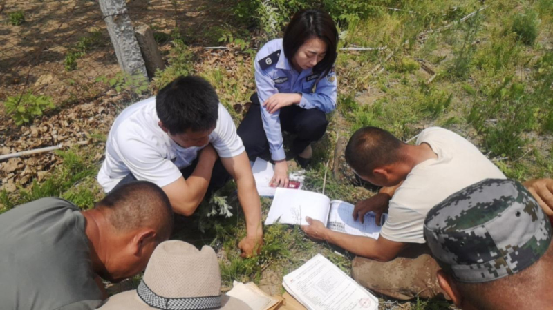 配文2：司法所工作人員現場查看土地臺賬。