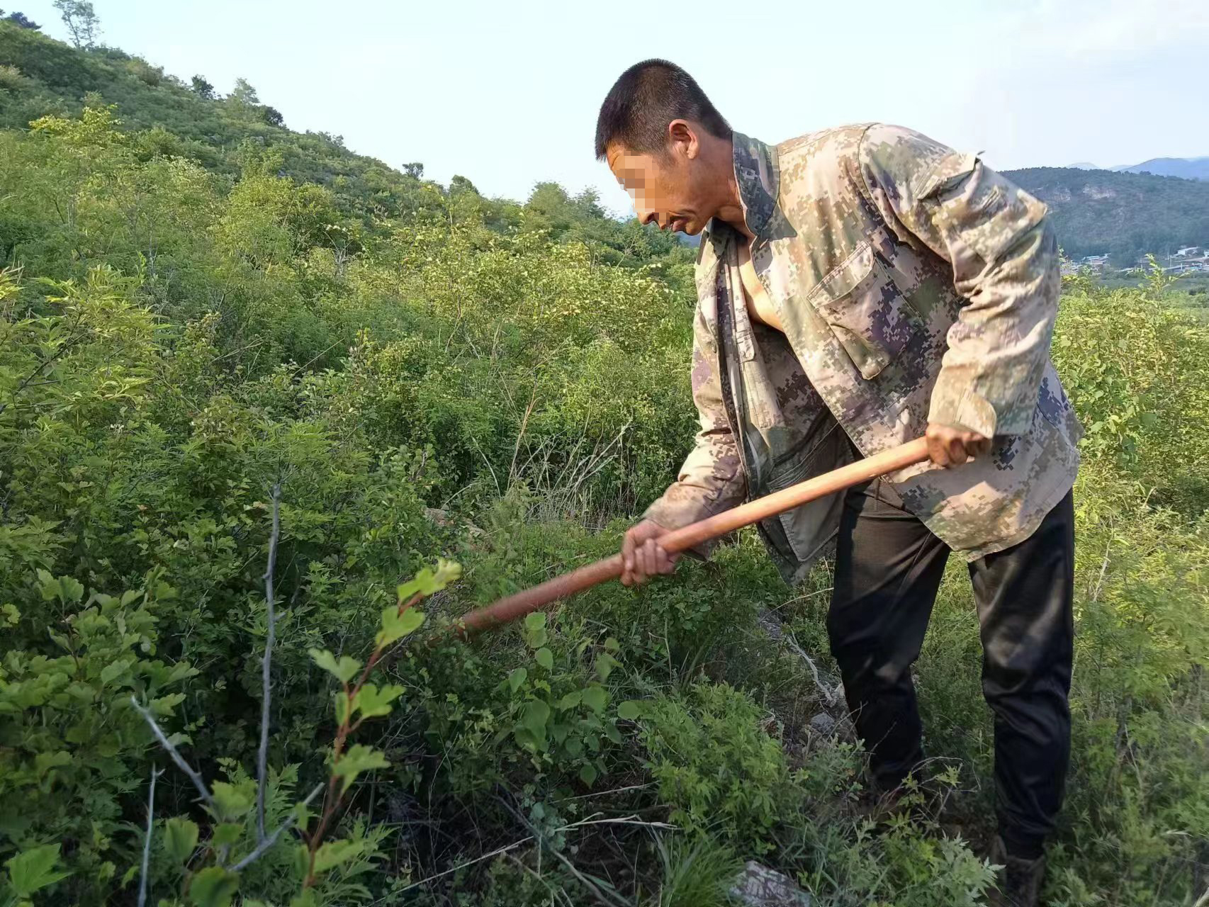 圖為崔某正在打理修復的山林地。（人物面部打碼）