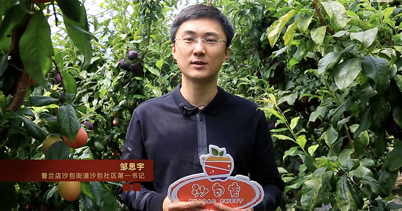 第五屆平安中國“三微”大賽遼寧獲獎最佳短視頻展播 |《沙包子的特色水果》